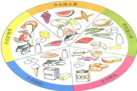 食物营养查询工具，家长的育儿好帮手