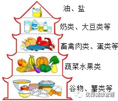 食物均衡金字塔，构建孩子健康成长的营养基石