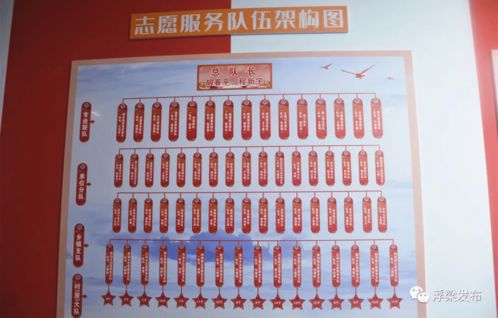 探索幼儿教育学，核心课程与学习路径