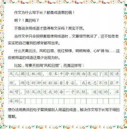幼儿教育杂志投稿格式要求，专业指南与写作技巧