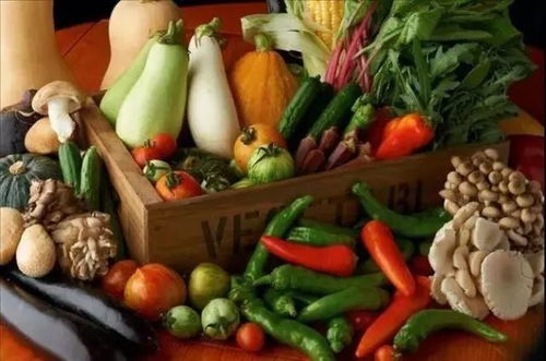 宝宝饮食指南，食物最佳搭配大全