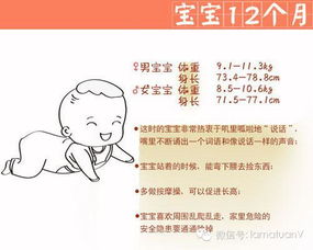 发展性，理解儿童成长的关键概念及其在育儿中的应用