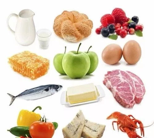 营养宝库，揭秘食物营养价值排名前十名