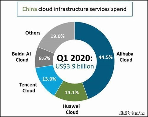 幼儿成长目标，培养全面发展的下一代