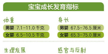宝宝健康成长，如何利用中国食物成分表官网下载资源进行科学喂养