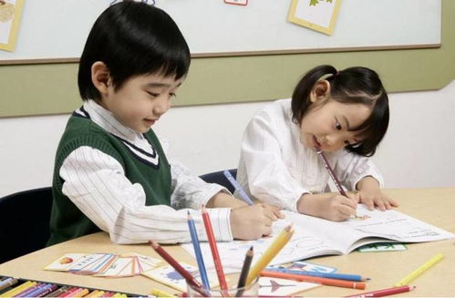 幼儿园教育视频大全，为孩子的成长提供丰富资源