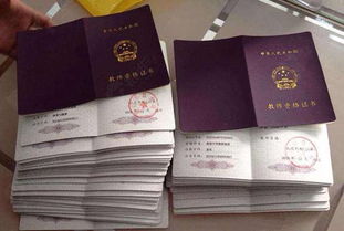 自学自考幼师资格证，成为专业育儿专家的指南