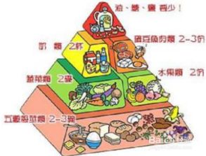 营养解码，食物营养价值的概念、意义及其在育儿中的重要性