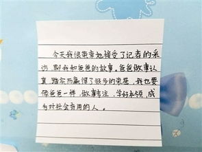 全面关注孩子成长，关键领域与应对策略