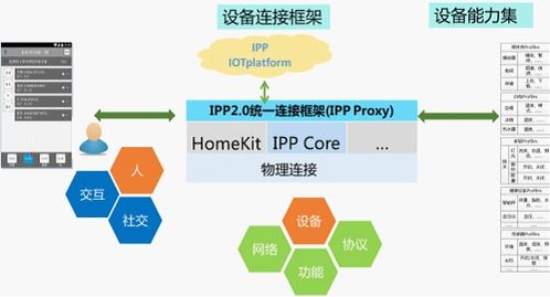 探索成长之路，影响个体成长的关键因素