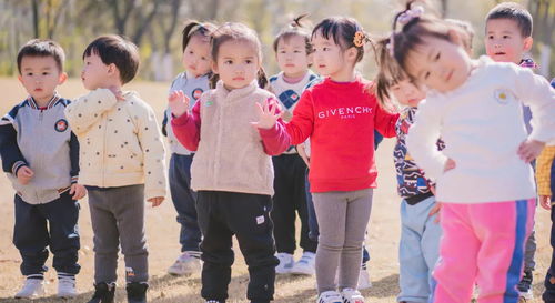 幼儿园教育，为孩子的未来打下坚实基础