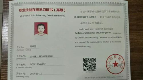 幼儿教师资格证书，报考条件与准备指南