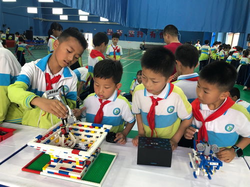 幼儿教育专业，培养未来教育者的全面课程