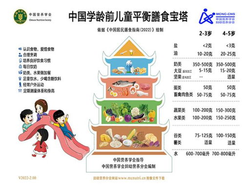 构建健康饮食，人每天摄入营养金字塔的科学指南