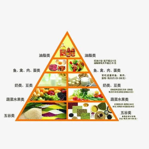 构建健康饮食，人每天摄入营养金字塔的科学指南