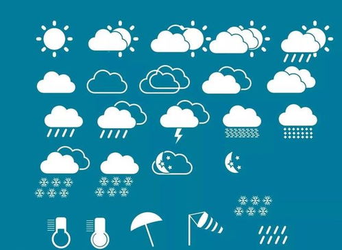 企业成长与发展，策略、挑战与未来展望