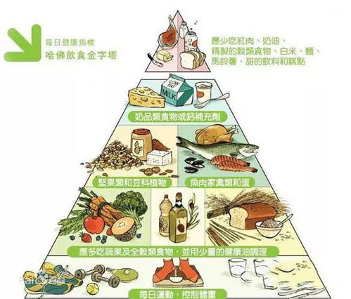 营养金字塔，为孩子构建健康饮食的基石