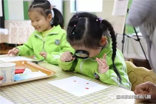 寓教于乐，探索适合孩子的有趣活动