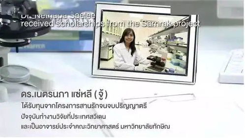 幼儿教育视频短片，开启孩子智慧之门的金钥匙