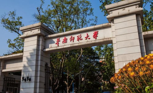 华南师范大学学前教育专业，培养未来教育领袖的摇篮