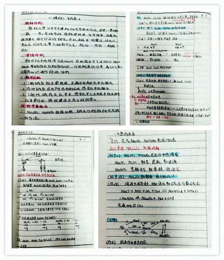 教师成长指导记录，塑造未来教育的基石