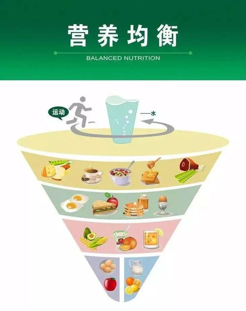 宝宝健康成长，一日三餐食谱及营养素计算指南