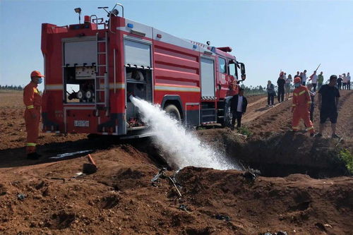 多样化的玩耍活动，促进儿童全面发展的秘诀