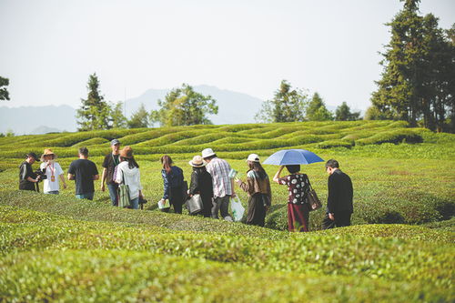 Embracing Growth:Understanding and Encouraging Development in Children