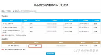 如何高效查询幼儿教师资格证成绩，步骤与注意事项
