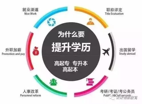 全面了解幼儿教育专业，涵盖的专业类别与核心课程