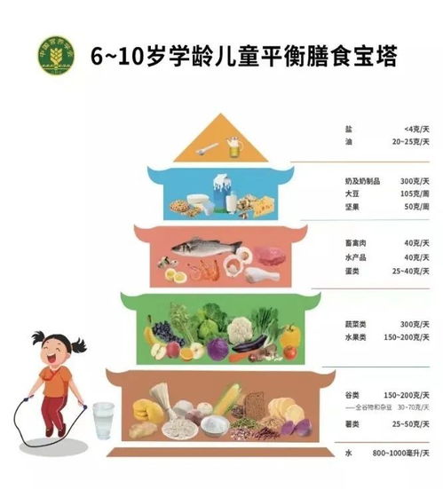 构建儿童健康成长的基石，每日摄入营养金字塔