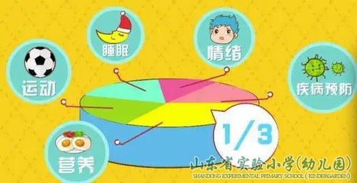 构建儿童健康成长的基石，每日摄入营养金字塔