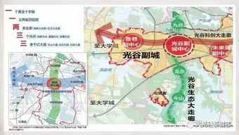 为孩子的未来绘制蓝图，如何制定成长规划的总体目标