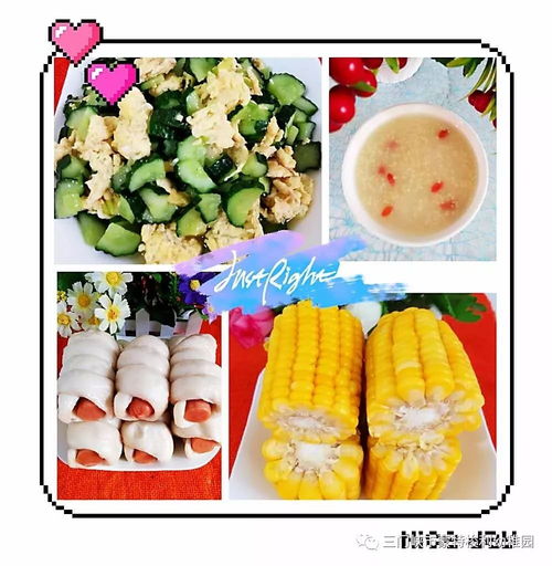 如何利用食物营养成分查询软件促进儿童健康饮食