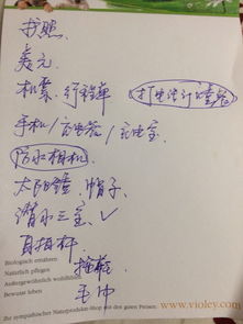 打造完美亲子时光，撰写游玩活动方案的五大步骤