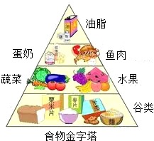 营养全解析，食物中的六大营养成分及其对孩子成长的重要性
