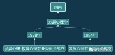 幼儿教育心理学，定义、特点及其在早期教育中的应用