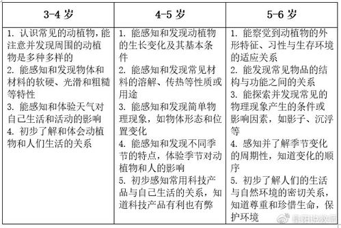 幼儿成长评价及建议，五大领域的全面分析