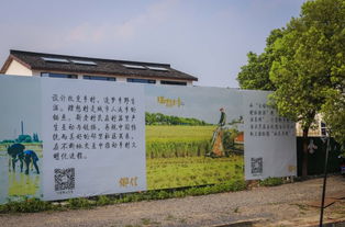 农村娱乐项目，发掘乡村潜力，创造经济价值