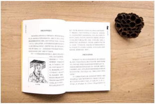 幼儿教师必读的经典十本书，塑造专业素养，引领儿童成长