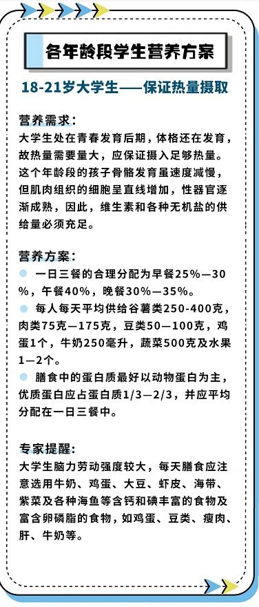 均衡营养，健康成长，一日三餐营养分配的重要性