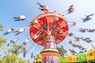 童年的乐园，探索游乐场的奇妙之旅