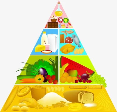 营养金字塔儿童画涂色，寓教于乐，培养孩子健康饮食习惯