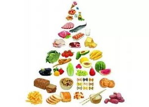 宝宝健康成长，食物搭配营养大全图片指南