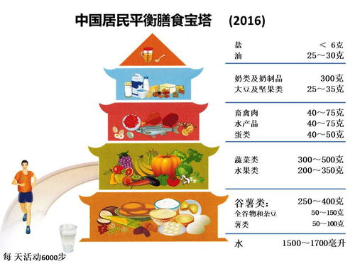 营养均衡，为孩子打造健康饮食的科学指南