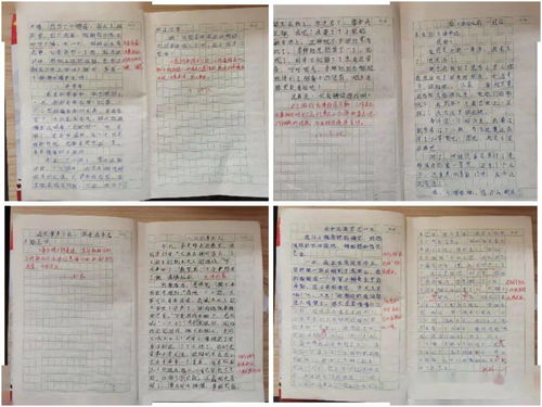 教师成长指导记录，记录与反思的实践指南