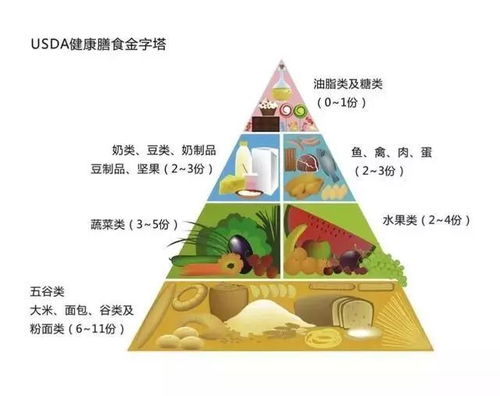 人体营养平衡金字塔，为孩子打造健康饮食的基石