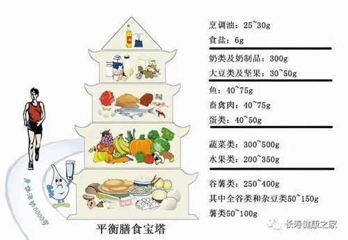 人体营养平衡金字塔，为孩子打造健康饮食的基石