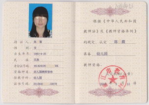 全面解析，幼儿教师资格证考试内容与要求