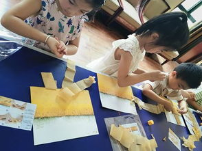 幼儿园社区教育，概念、实践与影响